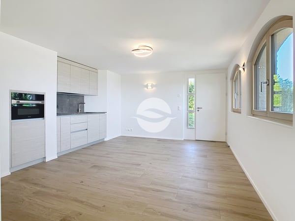 Maison de charme rénovée avec 2,5 p. indépendant - VUE LAC et ALPES 10