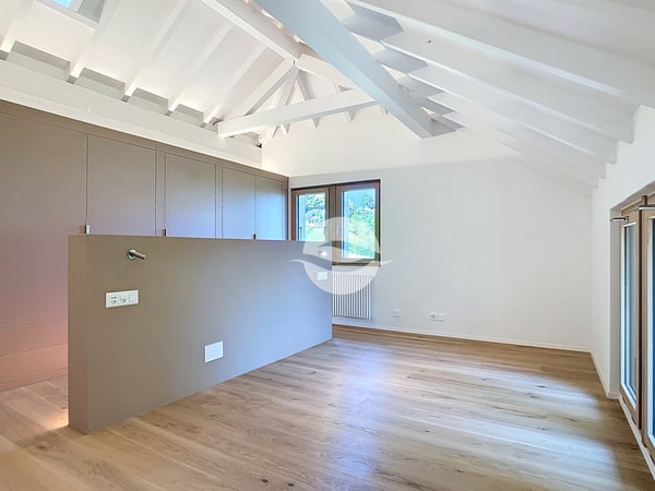 Maison de charme rénovée avec 2,5 p. indépendant - VUE LAC et ALPES 7