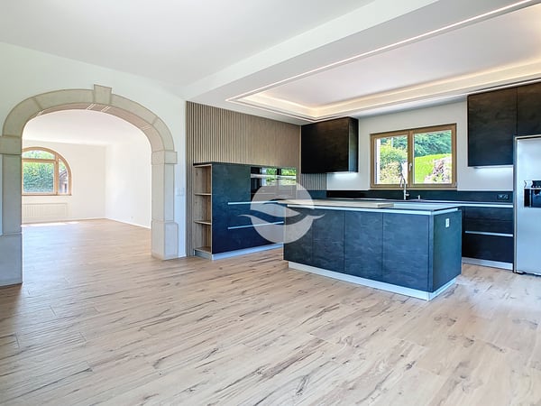 Maison de charme rénovée avec 2,5 p. indépendant - VUE LAC et ALPES 3