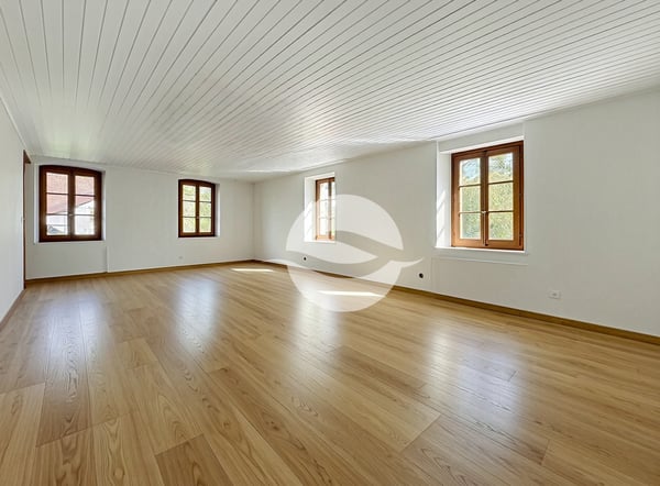 Belle maison de village rénovée 9