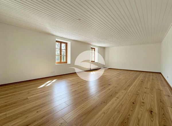 Belle maison de village rénovée 10