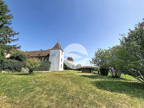 Duplex de 6,5 pièces avec grand jardin 12