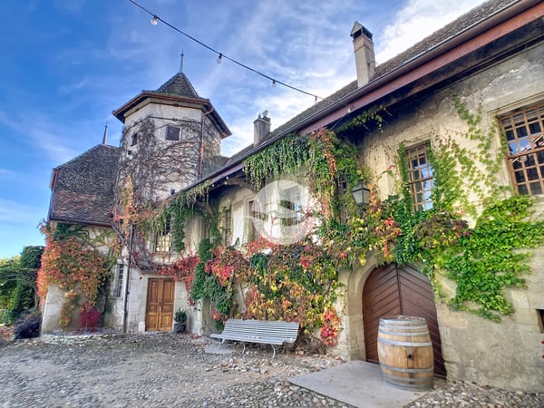 Duplex de 6,5 pièces avec grand jardin 13