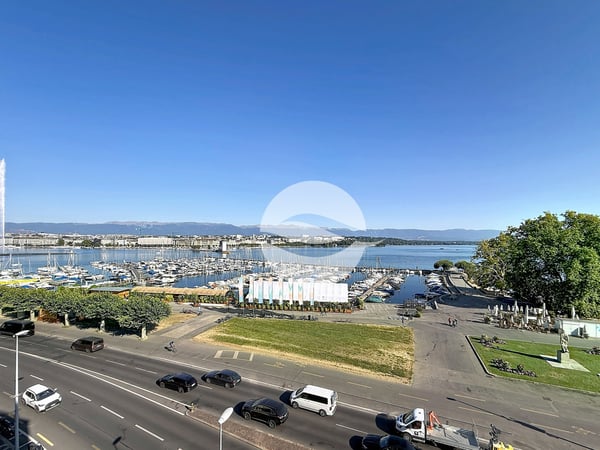 Sublime appartement, spacieux avec vue sur le lac et le jet d'eau! 12