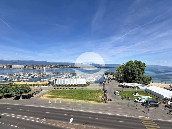 Sublime appartement, spacieux avec vue sur le lac et le jet d'eau!