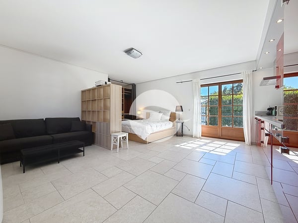 Propriété de 7,5 pièce + studio indépendant et garage 11