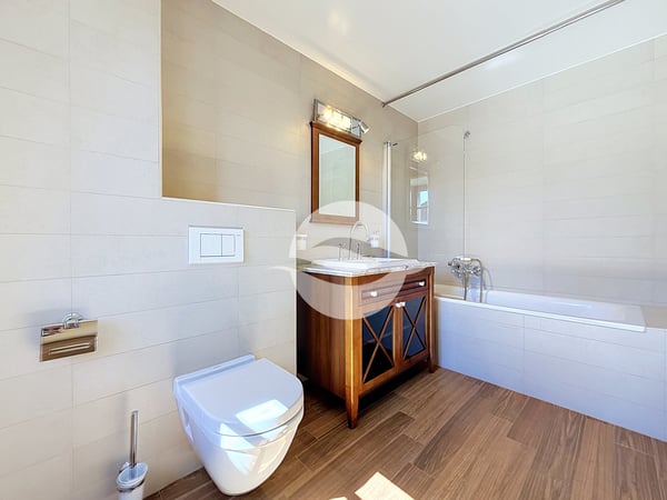 Propriété de 7,5 pièce + studio indépendant et garage 9
