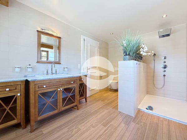 Propriété de 7,5 pièce + studio indépendant et garage 7