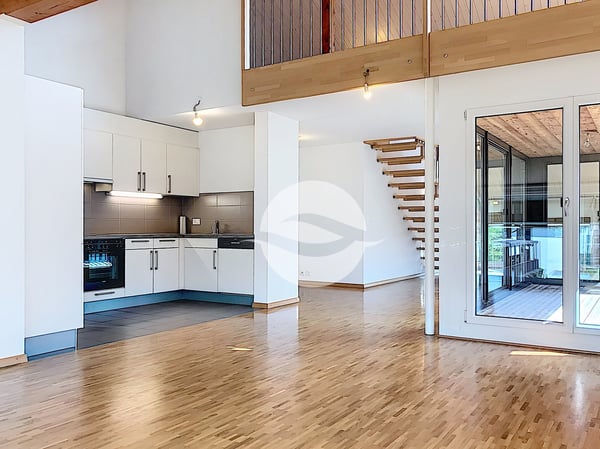 Lumineux 4,5 pièces + Mezzanine 3