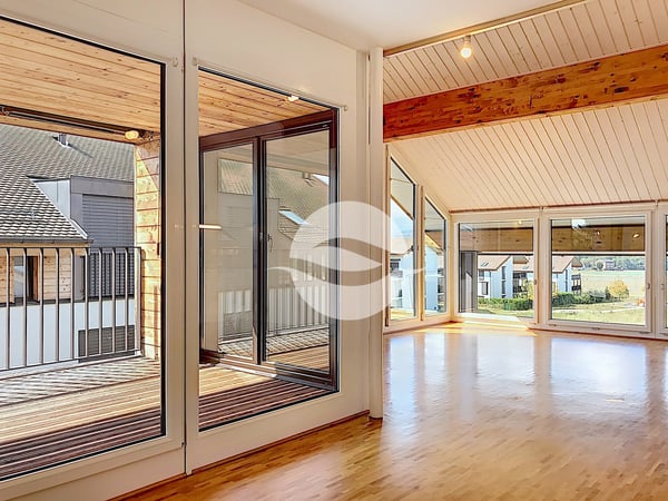 Lumineux 4,5 pièces + Mezzanine 2