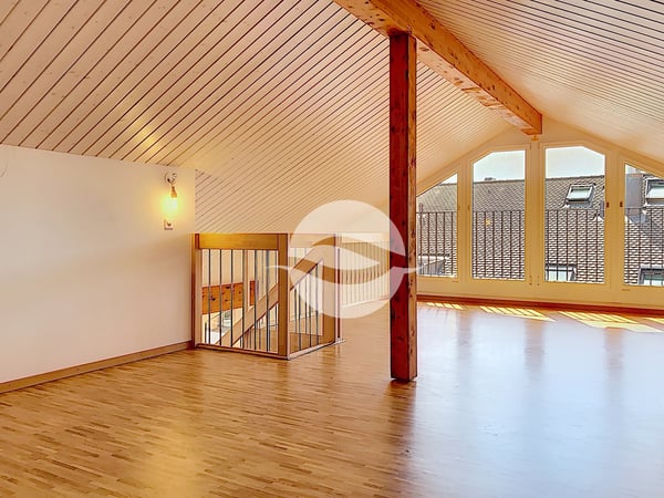 Lumineux 4,5 pièces + Mezzanine 6