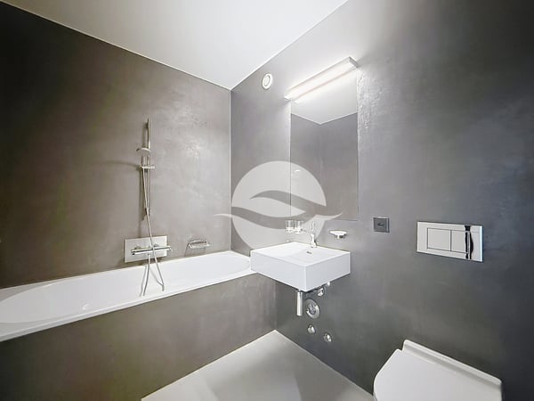 Petit-Lancy - Superbe appartement de 6.5 pièces avec terrasse 10