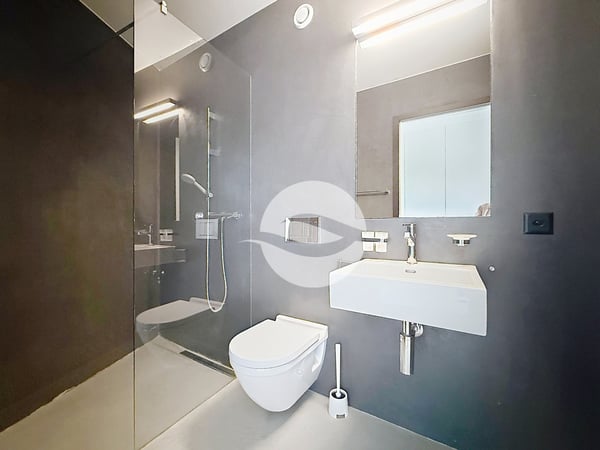 Petit-Lancy - Superbe appartement de 6.5 pièces avec terrasse 9