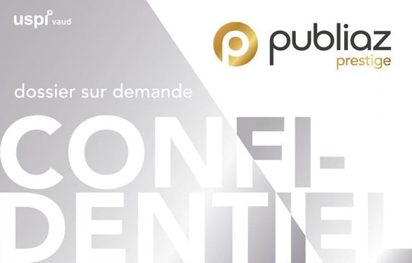 Immeuble mixte à Villeneuve VD 9