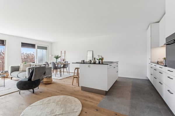 Appartement de 1.5 pièces au rez-de-chaussée Glâne 111 5