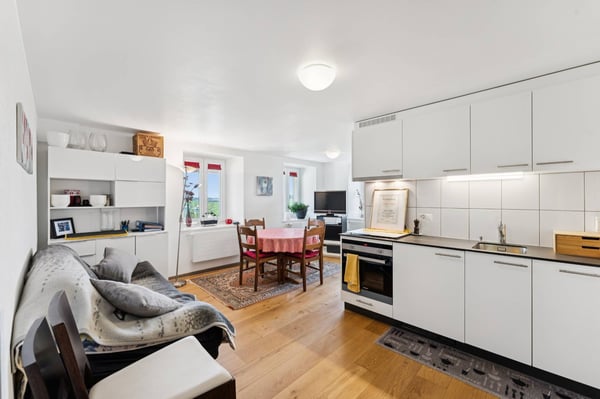 Maison de Maître comprenant 2 appartements et des chambres d'hôtes 3
