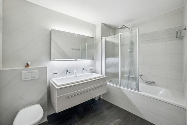 Appartement 3,5p avec magnifique terrasse 5