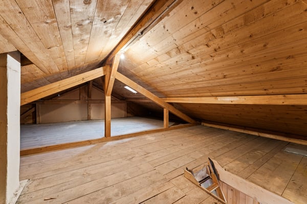 Chalet de deux appartements au panorama exceptionnel 12