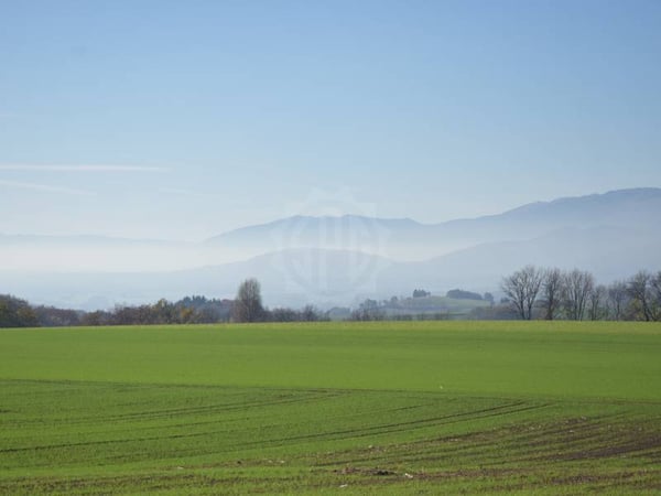 Burtigny