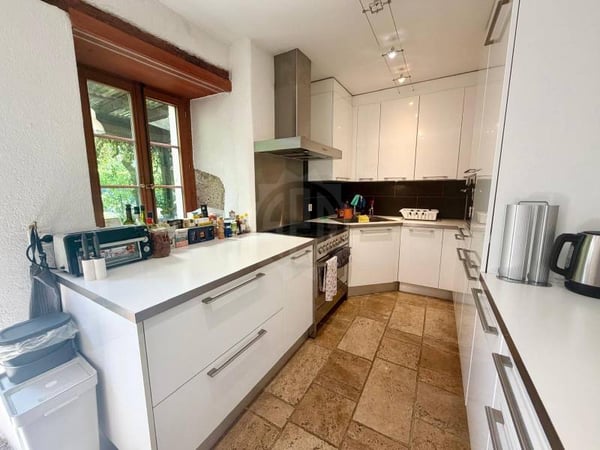 Charmant appartement - Duillier 4