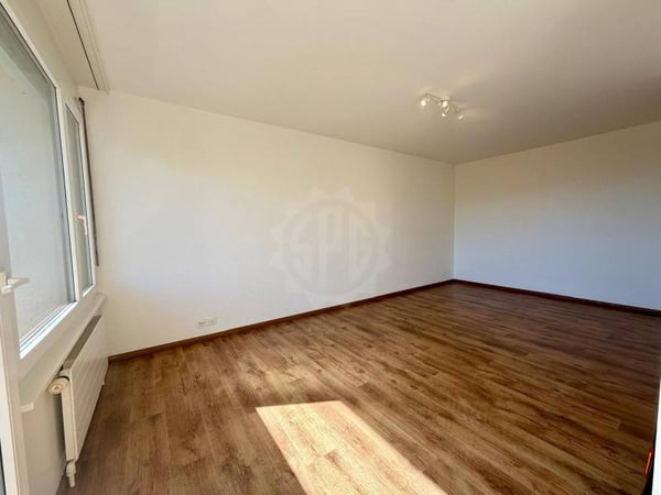Appartement agréable - Nyon 5