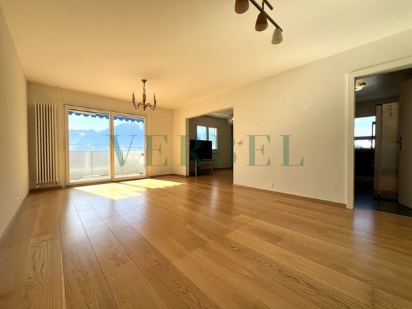 Exceptionnel - Vue panoramique sur le lac Léman 3