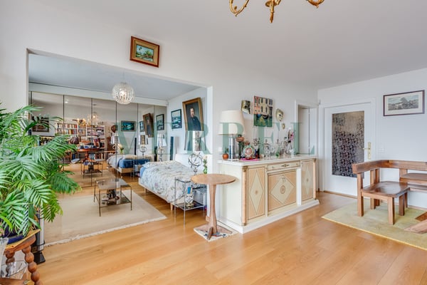 Exceptionnel - Vue panoramique sur le lac Léman 4