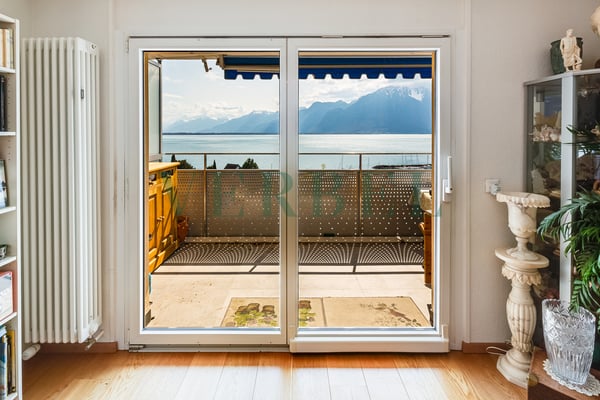 Exceptionnel - Vue panoramique sur le lac Léman 5