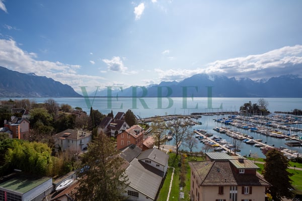 Exceptionnel - Vue panoramique sur le lac Léman 1
