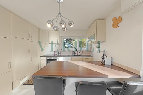 Charmante maison jumelée de 5.5 pièces avec grand jardin plat 3