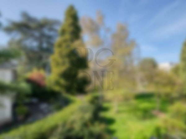 Spacieux appartement entièrement rénové à Champel 3