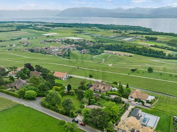 Propriété avec beau potentiel de construction 1