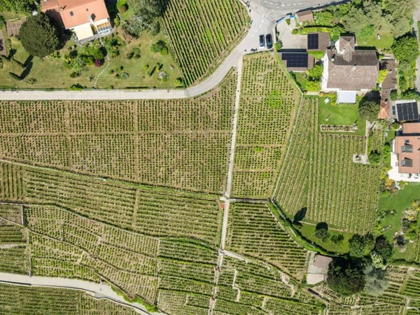 Elégante maison d'inspiration bourgeoise au coeur du Lavaux 11