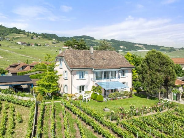 Elégante maison d'inspiration bourgeoise au coeur du Lavaux 10