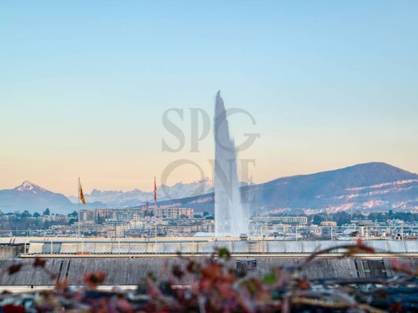 Prestigieux triplex avec vues imprenables sur le lac et les Alpes 11