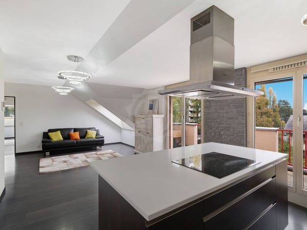 Magnifique appartement - Genève 4