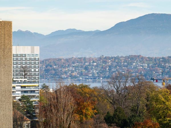 Appartement agréable - Genève 10