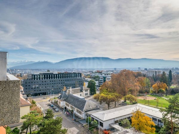 Appartement agréable - Genève 5