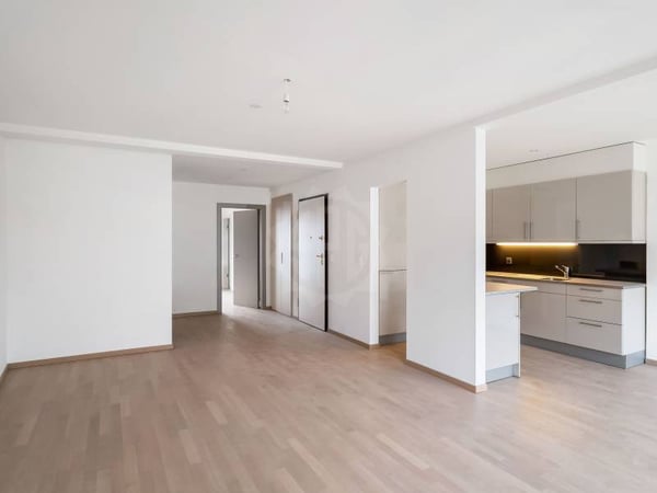 Magnifique appartement - Genève 2