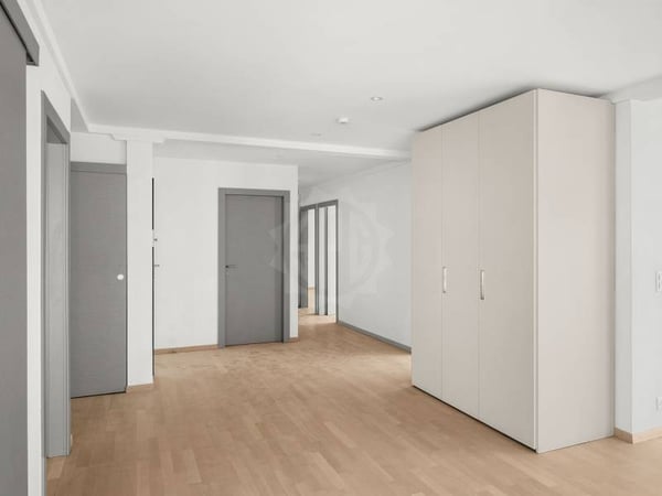 Magnifique appartement - Genève 2