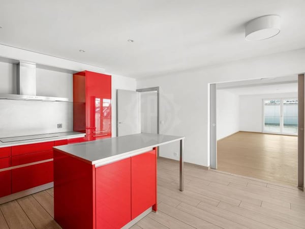 Magnifique appartement - Genève 4