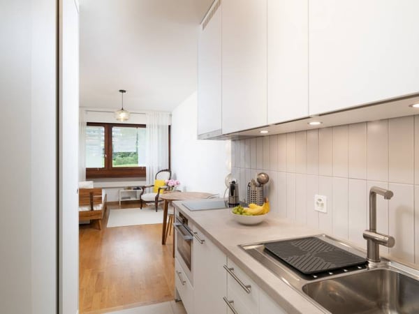 Magnifique appartement - Genève 2