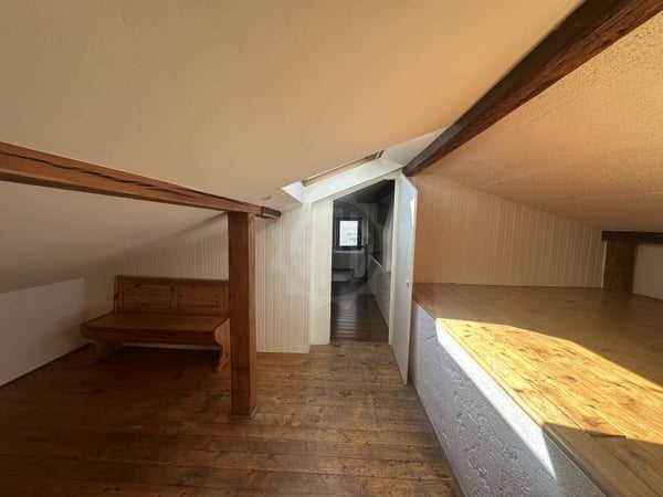 Chaleureuse villa - Carouge GE 6