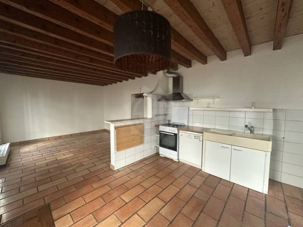 Chaleureuse villa - Carouge GE 2
