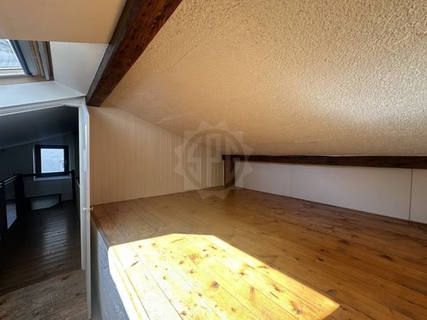Chaleureuse villa - Carouge GE 7