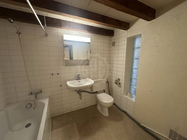 Chaleureuse villa - Carouge GE 10