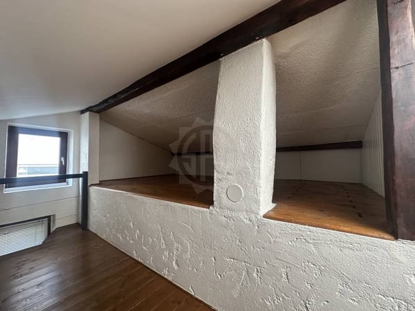 Chaleureuse villa - Carouge GE 8