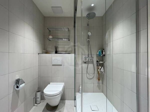 Magnifique appartement - Vandoeuvres 10