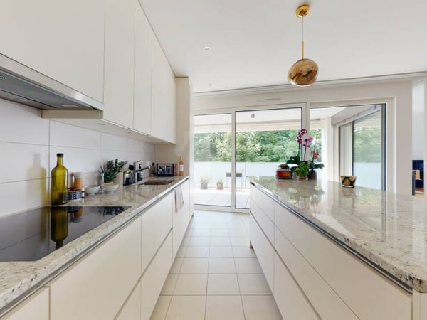 Magnifique appartement - Vandoeuvres 3