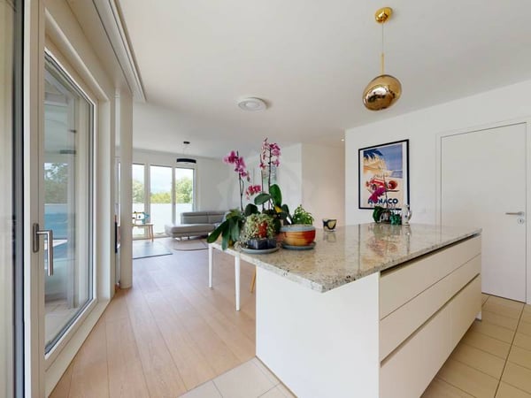 Magnifique appartement - Vandoeuvres 4